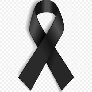 Meet your Posher, Elisaveta